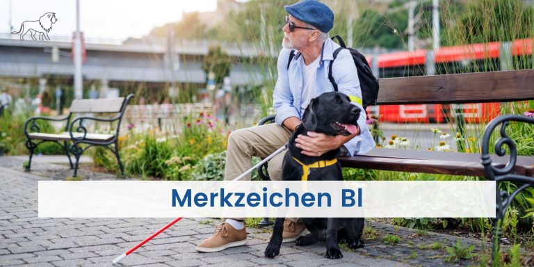Blinder Mensch mit Hund und Merkzeichen Bl im Schwerbehindertenausweis