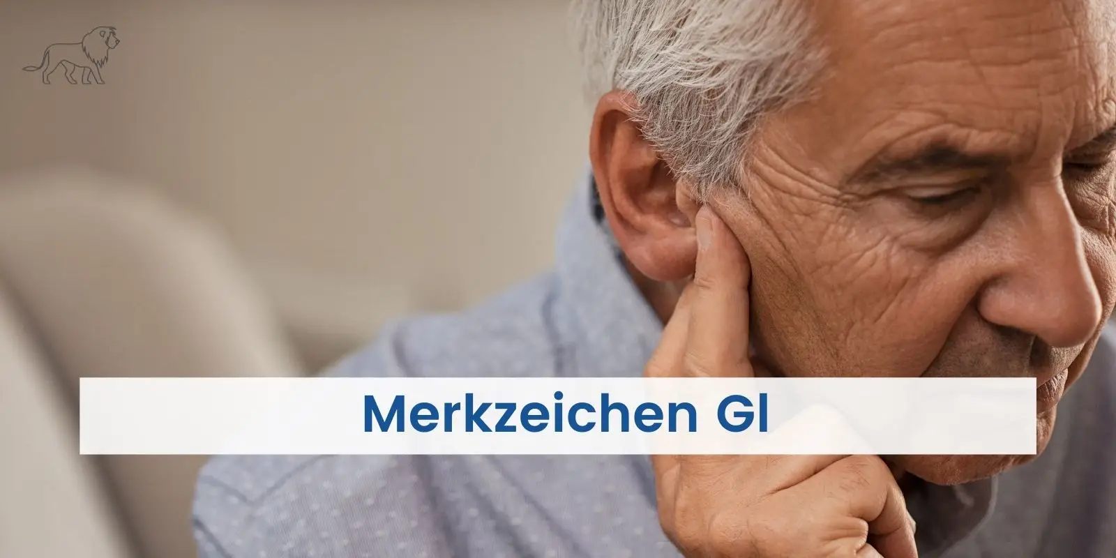 Merkzeichen Gl im Schwerbehindertenausweis