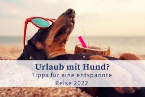 Tipps für den Urlaub mit Hund 2022
