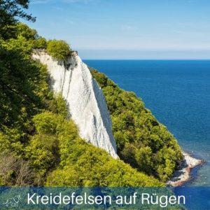 Der Kreidefelsen auf Rügen mit Blick auf die Ostsee