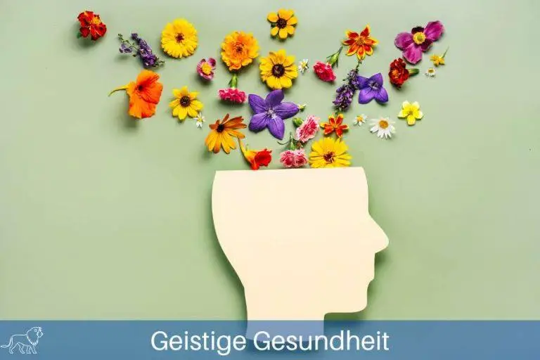 Das Bild zeigt eine Silhouette von einem Kopf