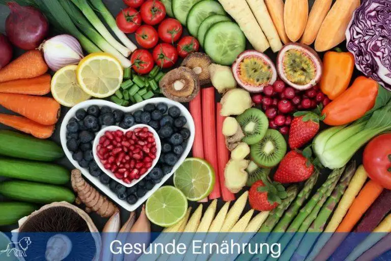 Das Bild zeigt eine große Auswahl an gesunden Nahrungsmitteln