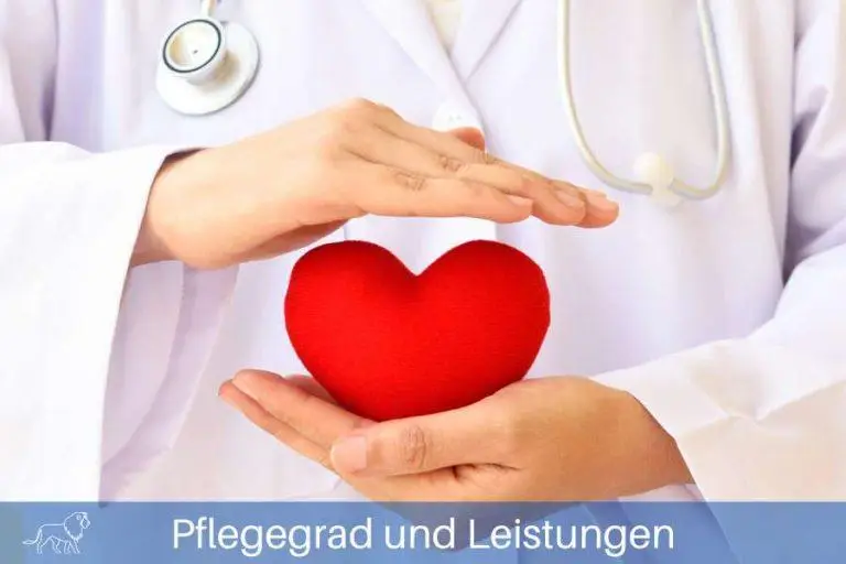 Pflegegrad