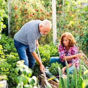 Senioren arbeiten im Garten