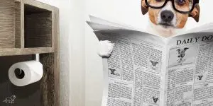 Inkontinenz im Alter