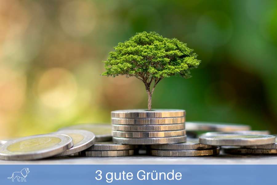 Beitragsbild mit Baum und Münzen für Nachhaltigkeit