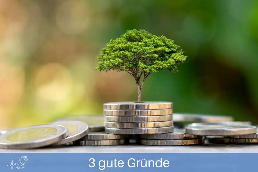 Beitragsbild mit Baum und Münzen für Nachhaltigkeit