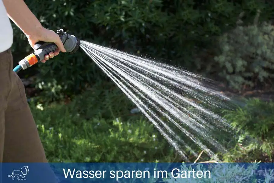 Wasser sparen im Garten mit der richtigen Bewässerung