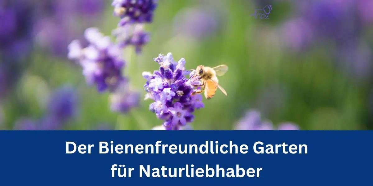 Bienenfreundlicher Garten