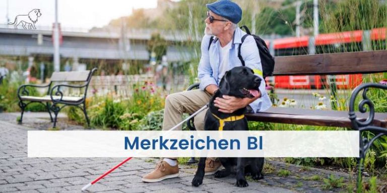 Blinder Mann mit Merkzeichen Bl und Blindenhund