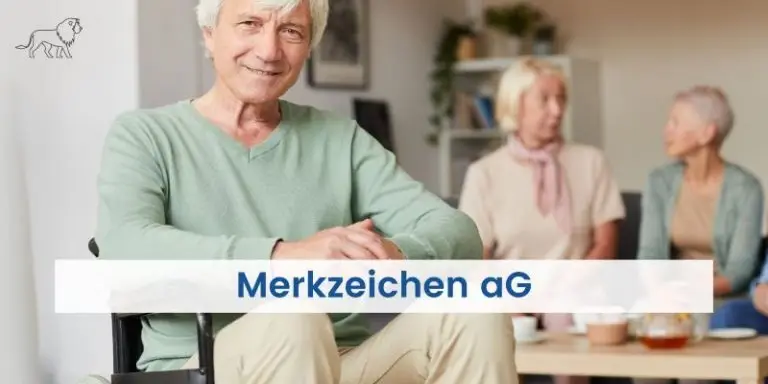 Mensch im Rollstuhl mit Merkzeichen aG im Schwerbehindertenausweis