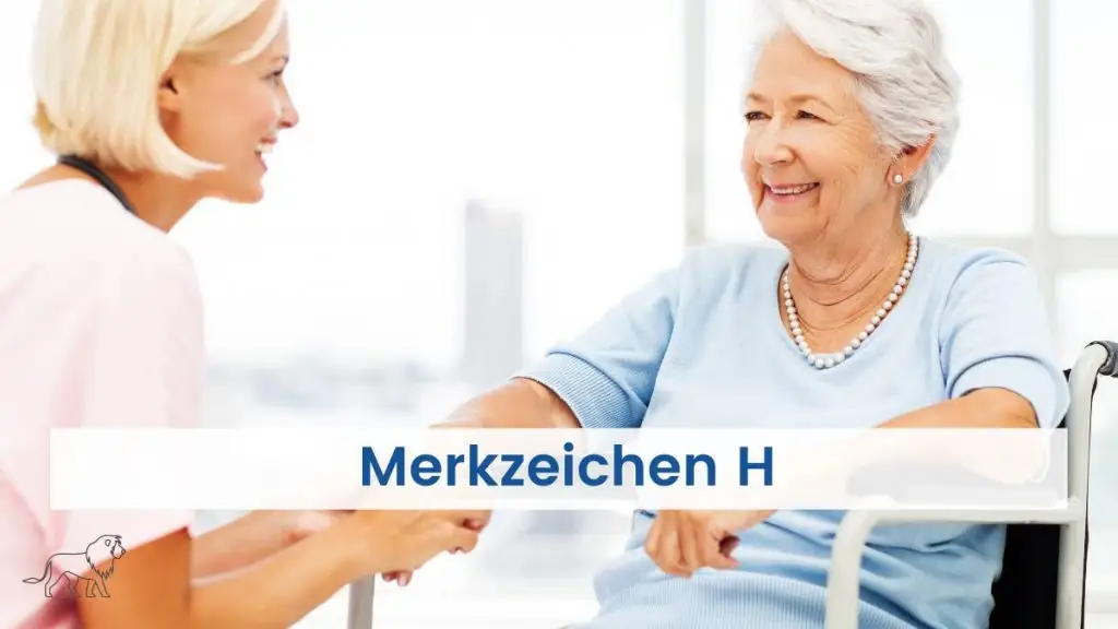Merkzeichen H im Schwerbehindertenausweis